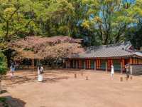 삼성혈