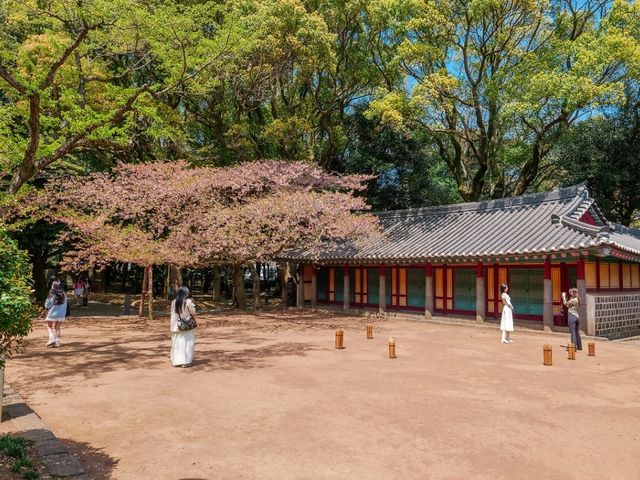 삼성혈