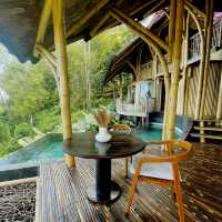 A Sanctuary in Paradise