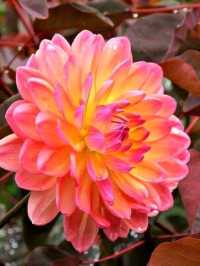 Longwood Gardens – A Living Canvas in Pennsylvania, USA
