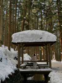 Jigokudani Yaen-Koen – Where Snow Monkeys Soak in Hot Springs