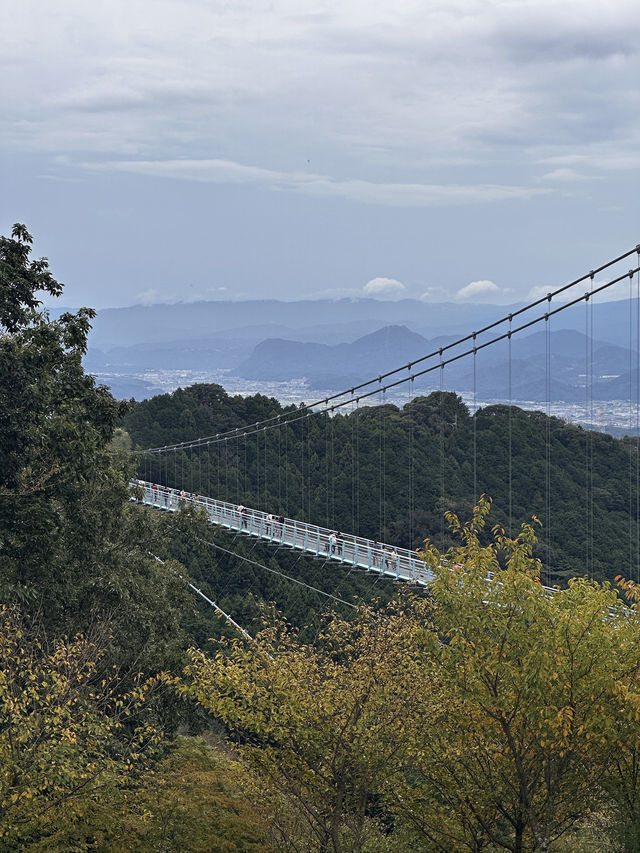 🏔️看到富士山全靠缘分的小众景点 —— 三岛Skywalk（Mishima Skywalk