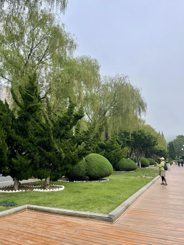 Hello Dalian - Chill, Sea & Surprises 🩵