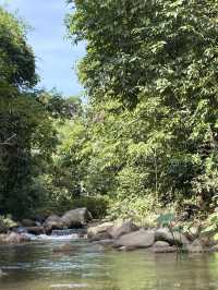 วังปริง แคมป์ ทุ่งสง 🏕️ - ที่พักติดลำธาร