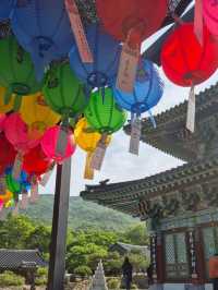 🕍 Dogapsa Temple: A Peaceful Escape into Korea’s Spiritual Heritage