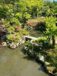 Isuien Garden – A Tranquil Stroll Through Time in Nara