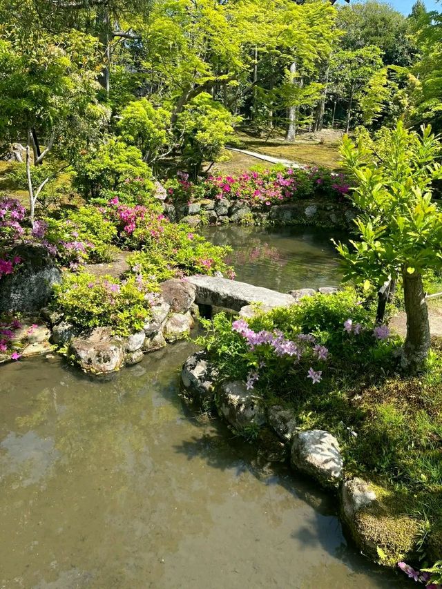 Isuien Garden – A Tranquil Stroll Through Time in Nara