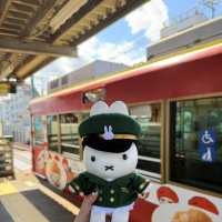 Tokyo Spring Moments