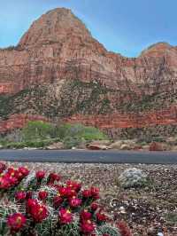 Thrill and Views on the Angels Landing Trail