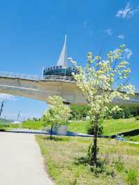 The Ipobo Observatory