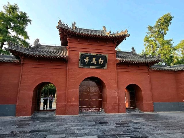 Chill Vibes, Big History, and Buddha Energy