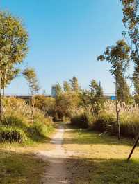 A Refreshing Morning at Mangwon Hangang Park