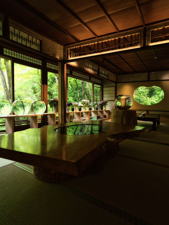 【雨でも楽しめる室内絶景】「水鏡」の絶景に息をのむ🌿💧✨※周辺観光情報付