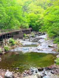 A Journey to the Heart of Nature: Exploring Jirisan National Park
