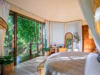 ‘Lan Na Wild’ ..สวรรค์กลางป่าใหญ่บนยอดดอย