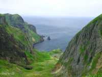 【北海道】花の浮島の異名を持つ日本最北の離島「礼文島」