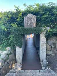 自然とアートが融合した美しすぎる美術館🌿🤍