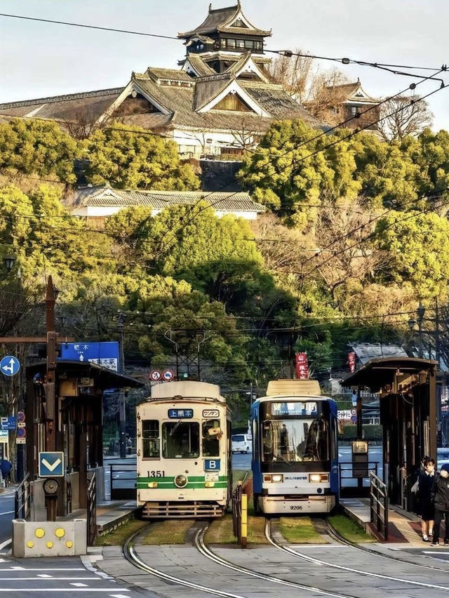 日本別處根本看不到，只有九州才有的奇觀❗️