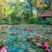 Paradise Koh Yao พาราไดซ์ เกาะยาว 