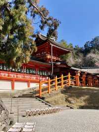 A Peaceful Day at Kasuga Taisha Shrine 🦌