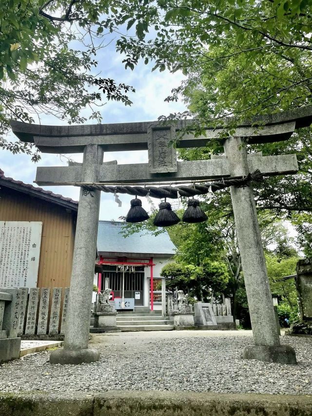 Relaxing Stroll in Tokushima 🏞️🌸