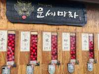 釜山🇰🇷のマチュピチュ〝甘川文化村〟にバスで行ってみた🚍⟡.·