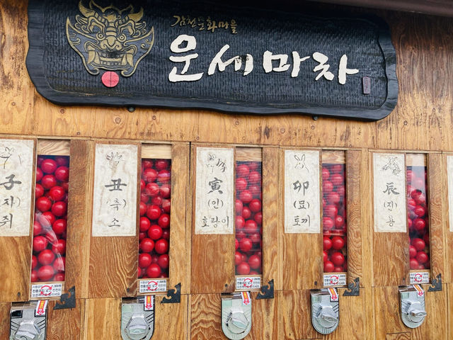 釜山🇰🇷のマチュピチュ〝甘川文化村〟にバスで行ってみた🚍⟡.·