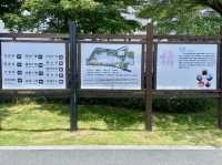 深圳萬豐湖濕地公園✨🌴城市中的自然綠洲🏞️