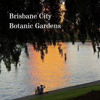 Brisbane City Botanic Gardens 🌿🌸