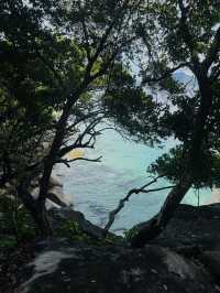 🏝️フィッツロイ島✨ サンゴでできた真っ白な浜辺