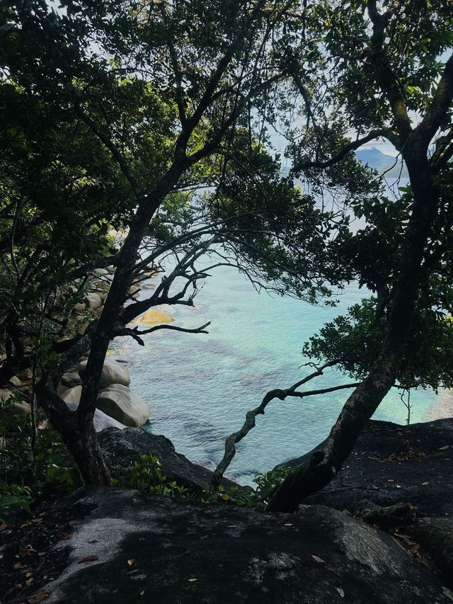 🏝️フィッツロイ島✨ サンゴでできた真っ白な浜辺