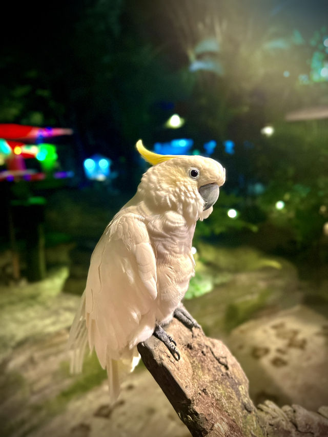 “Tambun Treasures: Nature, Thrills & Hot Springs”