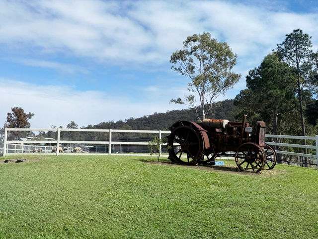 Gold Coast Theme Parks any good now? 