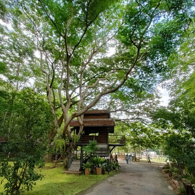 Bonanza Exotic park