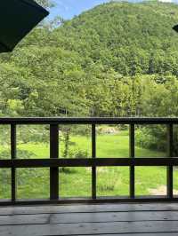 【関市 せきや】刃物のまちで見つけた、心をほどく小さなオアシス🌿🍵