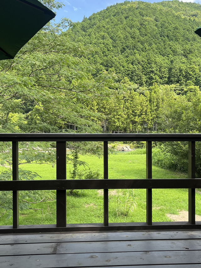 【関市 せきや】刃物のまちで見つけた、心をほどく小さなオアシス🌿🍵