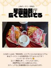 🇨🇳子どもと行く！上海ディズニー攻略法