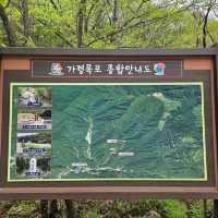 Quiet Trails Baekamsan