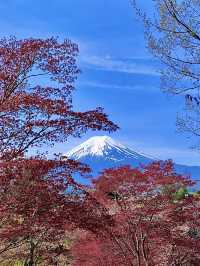 โอซาก้า🇯🇵