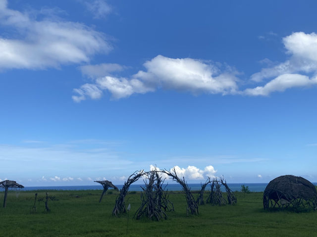巴特虹岸  🌾 豐濱 新社梯田 🌾