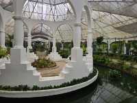 해외여행 브라질에서 가장 큰 식물원 Botanical Garden of Rio de Janeiro