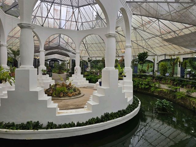 해외여행 브라질에서 가장 큰 식물원 Botanical Garden of Rio de Janeiro