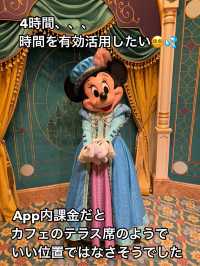 【上海ディズニー】イルミネイトを良い位置で鑑賞したい方へ