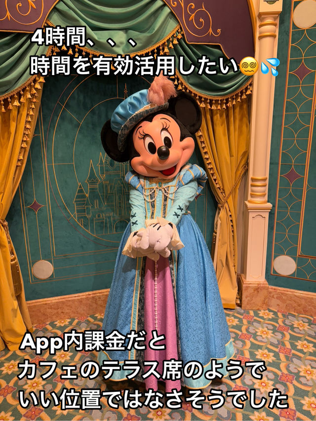 【上海ディズニー】イルミネイトを良い位置で鑑賞したい方へ