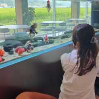 담양에 수족관 카페가 있다니 🐠