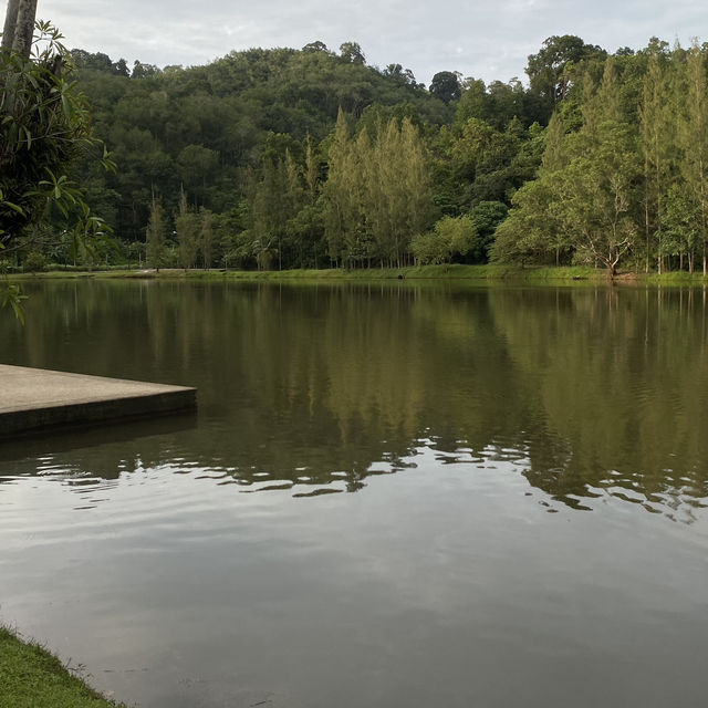 The lake เหมืองเเร่ภูเก็ต