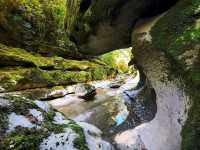 Paparoa National Park
