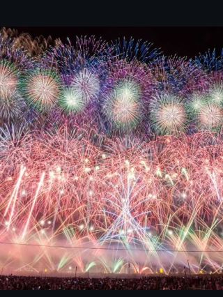 【Akita・Omagari Fireworks】A Spectacle of Beauty Blossoming in the Night Sky