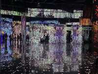 韓國🇰🇷 - ARTE MUSEUM Busan