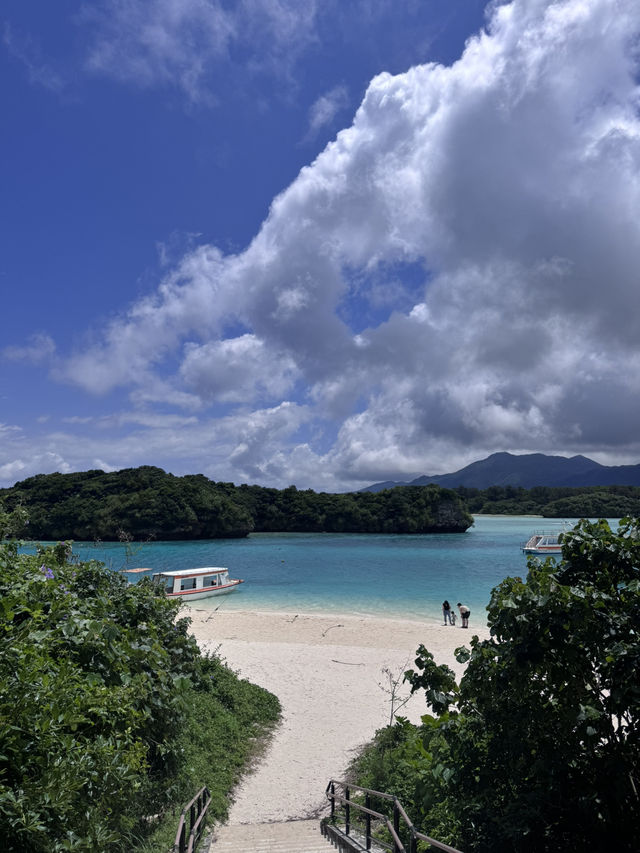年3回石垣島✨️1泊2日プラン